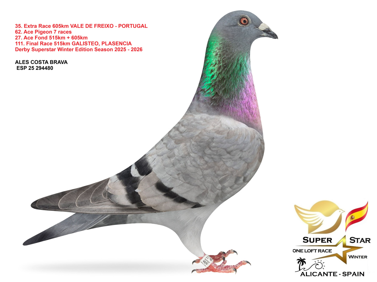 Extra Race 605km Superstar Winter - part 2