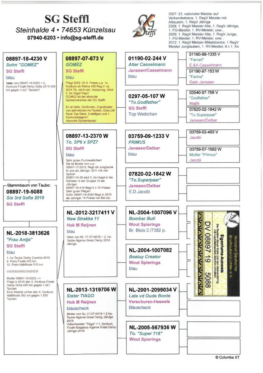 36. Extra Race 605km VALE DE FREIXO - PORTUGAL,
40. Ace Pigeon 7 races,
54. Ace Fond 515km + 605km
Derby Superstar Winter Edition Season 2025 - 2026 

HEROLD ATTILA
HU 25 D909360