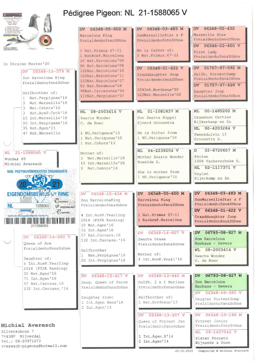 36. Extra Race 605km VALE DE FREIXO - PORTUGAL,
40. Ace Pigeon 7 races,
54. Ace Fond 515km + 605km
Derby Superstar Winter Edition Season 2025 - 2026 

HEROLD ATTILA
HU 25 D909360