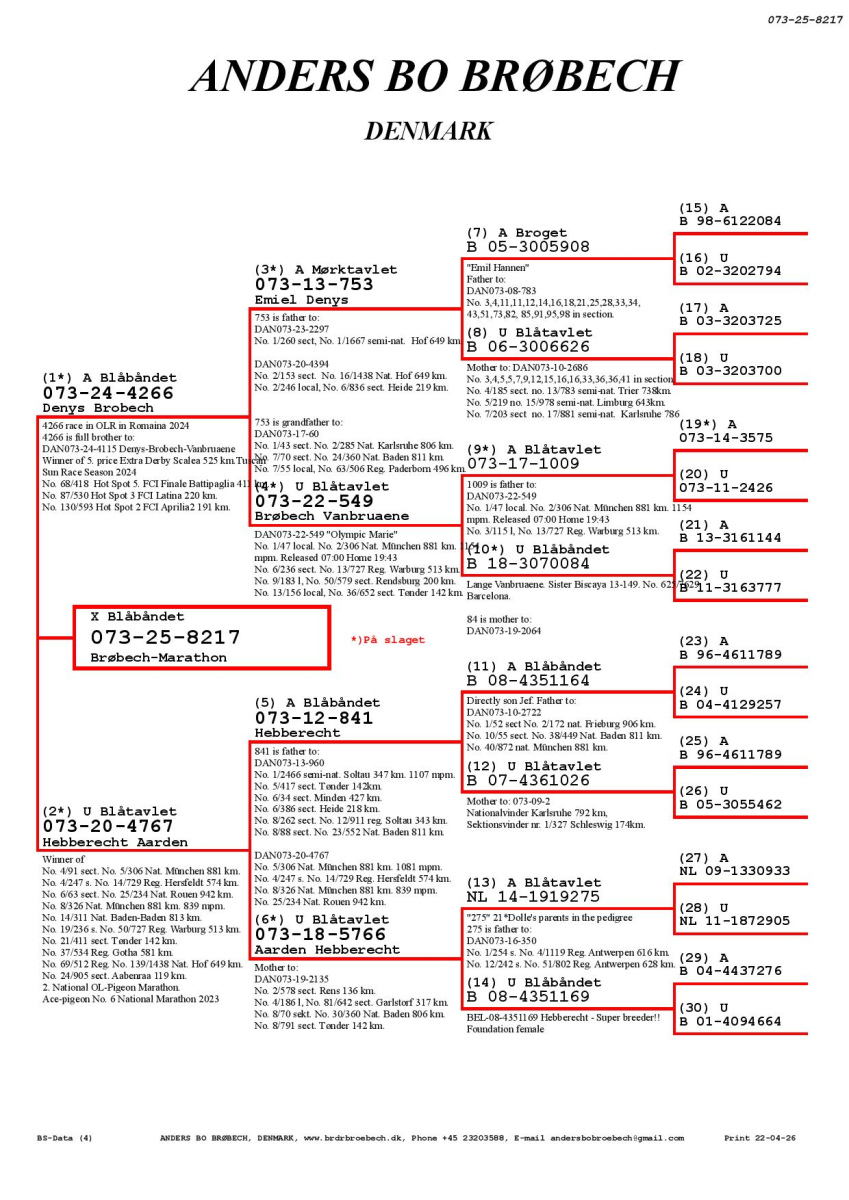 29. Extra Race 605km VALE DE FREIXO - PORTUGAL
37. Ace Pigeon 7 races
58. Ace Fond 515km + 605km
322. Final Race 515km GALISTEO, PLASENCIA
78. Semifinal Race 330km NAMBROCA
Derby Superstar Winter Edition Season 2025 - 2026 

BROBRECH RACING PIGEONS
 DAN 73 25 8217 