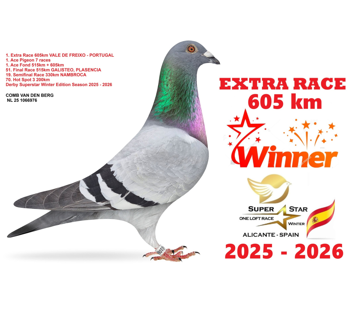 Extra Race 605km Superstar Winter - part 3