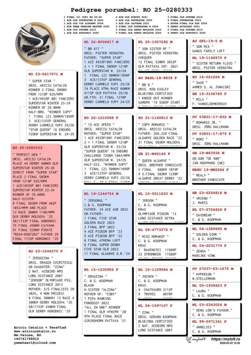 44. Extra Race 605km VALE DE FREIXO - PORTUGAL,
75. Ace Pigeon 7 races,
78. Ace Fond 515km + 605km
Derby Superstar Winter Edition Season 2025 - 2026 
	
ARICIU CATALIN + TEO & VLAD
 RO 25 280333 