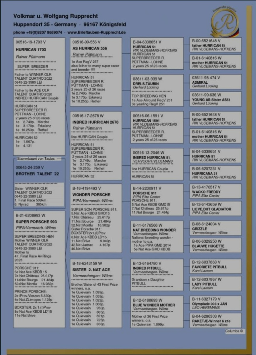 46. Extra Race 605km VALE DE FREIXO - PORTUGAL,
43. Ace Pigeon 7 races,
60. Ace Fond 515km + 605km
Derby Superstar Winter Edition Season 2025 - 2026 

TEAM POPESCU + LIXAN DROIU
 RO 25 281686 