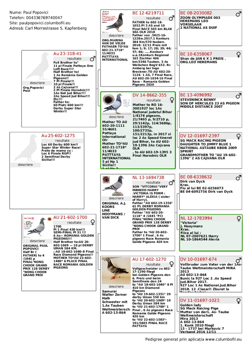 60. Extra Race 605km VALE DE FREIXO - PORTUGAL
58. Ace Pigeon 7 races
76. Ace Fond 515km + 605km
398. Final Race 515km GALISTEO, PLASENCIA
Derby Superstar Winter Edition Season 2025 - 2026 

PAUL POPOVICI
 AUS 602 25 1275 