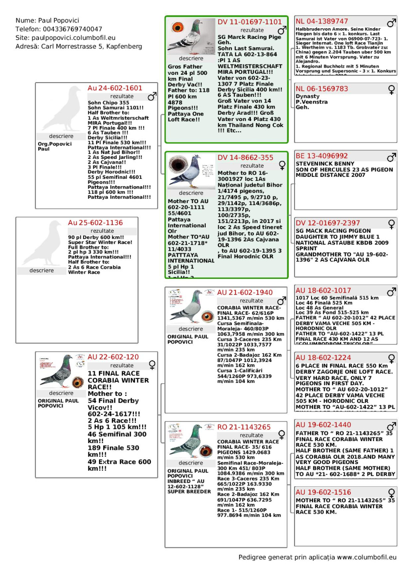 90. Extra Race 605km VALE DE FREIXO - PORTUGAL
Derby Superstar Winter Edition Season · 2025 - 2026 

PAUL POPOVICI
 AUS 602 25 1136