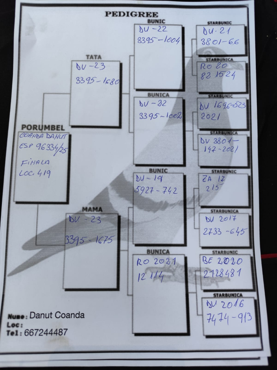 419. Final Race 515km Galisteo, Plasencia
Derby Superstar Winter Edition · Season 2025 - 2026 
	
COANDA DANUT
 ESP 25 96334