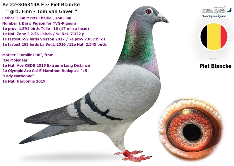 390. Final Race 515km Galisteo, Plasencia
Derby Superstar Winter Edition · Season 2025 - 2026 
	
RA-PIGEON LOFT
 RO 25 420922