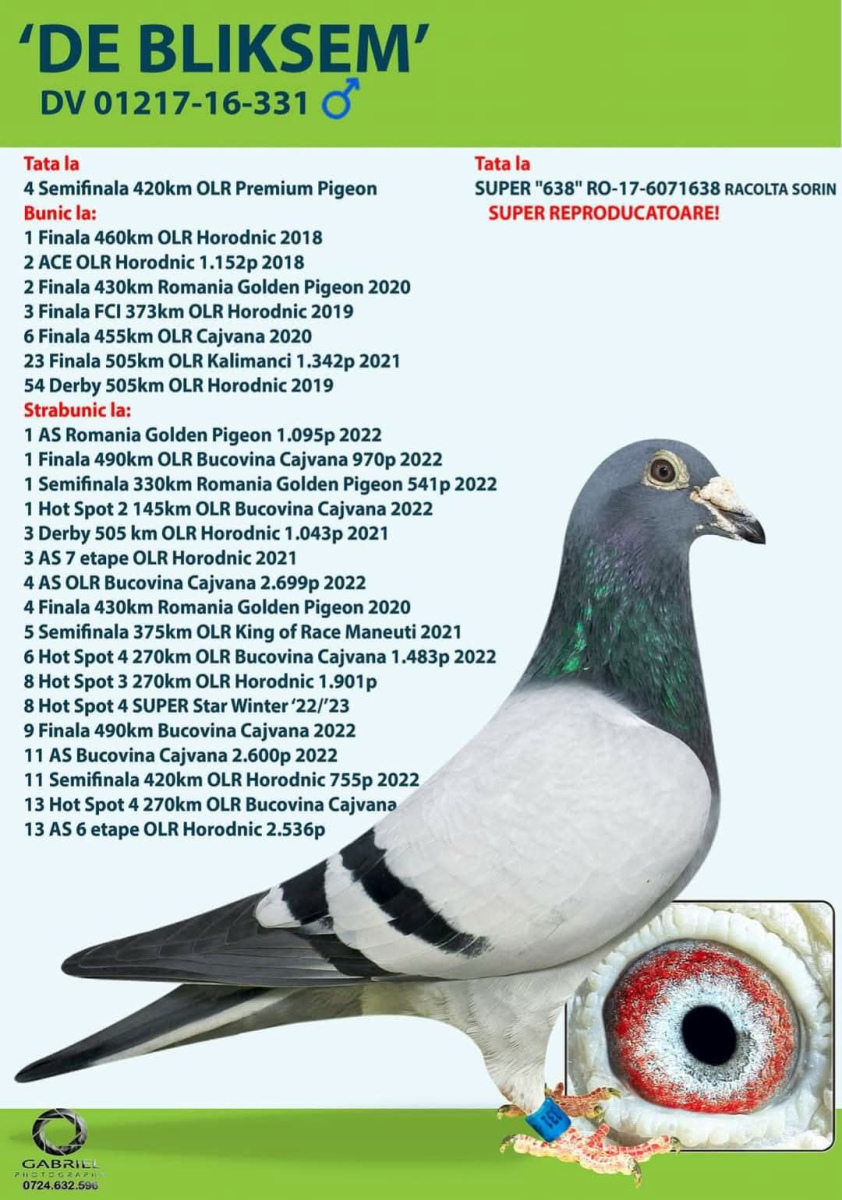 450. Final Race 515km Galisteo, Plasencia
Derby Superstar Winter Edition · Season 2025 - 2026 
	
TEAM DAVID
 NL 25 1768889