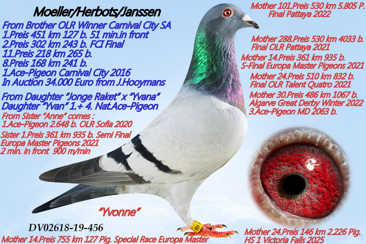 452. Final Race 515km Galisteo, Plasencia
Derby Superstar Winter Edition · Season 2025 - 2026 
	
KARL - HEINZ WICHERT
 DV 2618 25 526