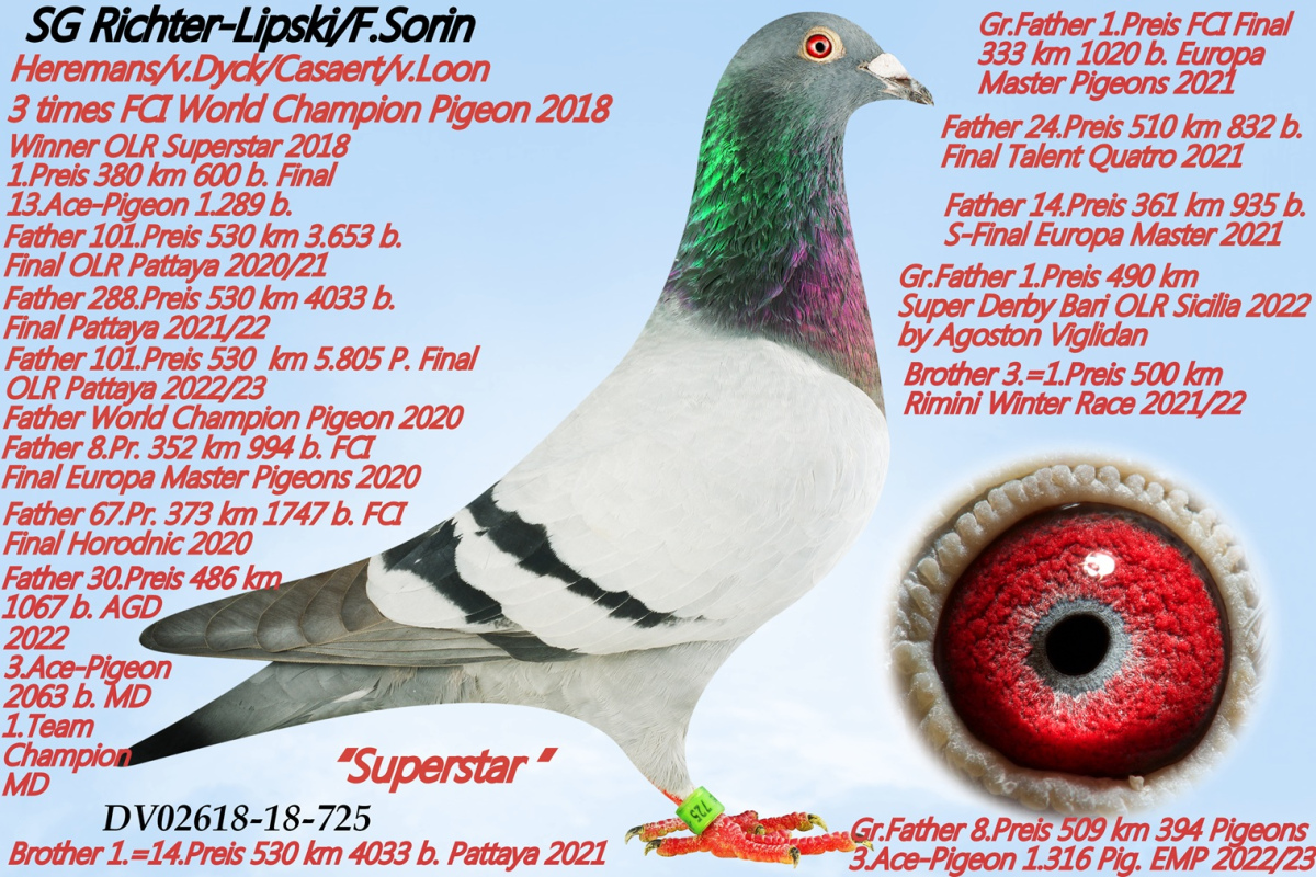 452. Final Race 515km Galisteo, Plasencia
Derby Superstar Winter Edition · Season 2025 - 2026 
	
KARL - HEINZ WICHERT
 DV 2618 25 526