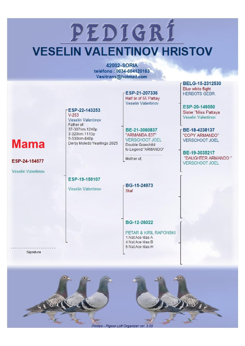 9. Final Race 510km NIMES - FRANCE,
21. Ace Pigeon Overall

Derby Europa Star Pigeon Season 2026

JUAQIN MEMBRADO
 ES 25 131305