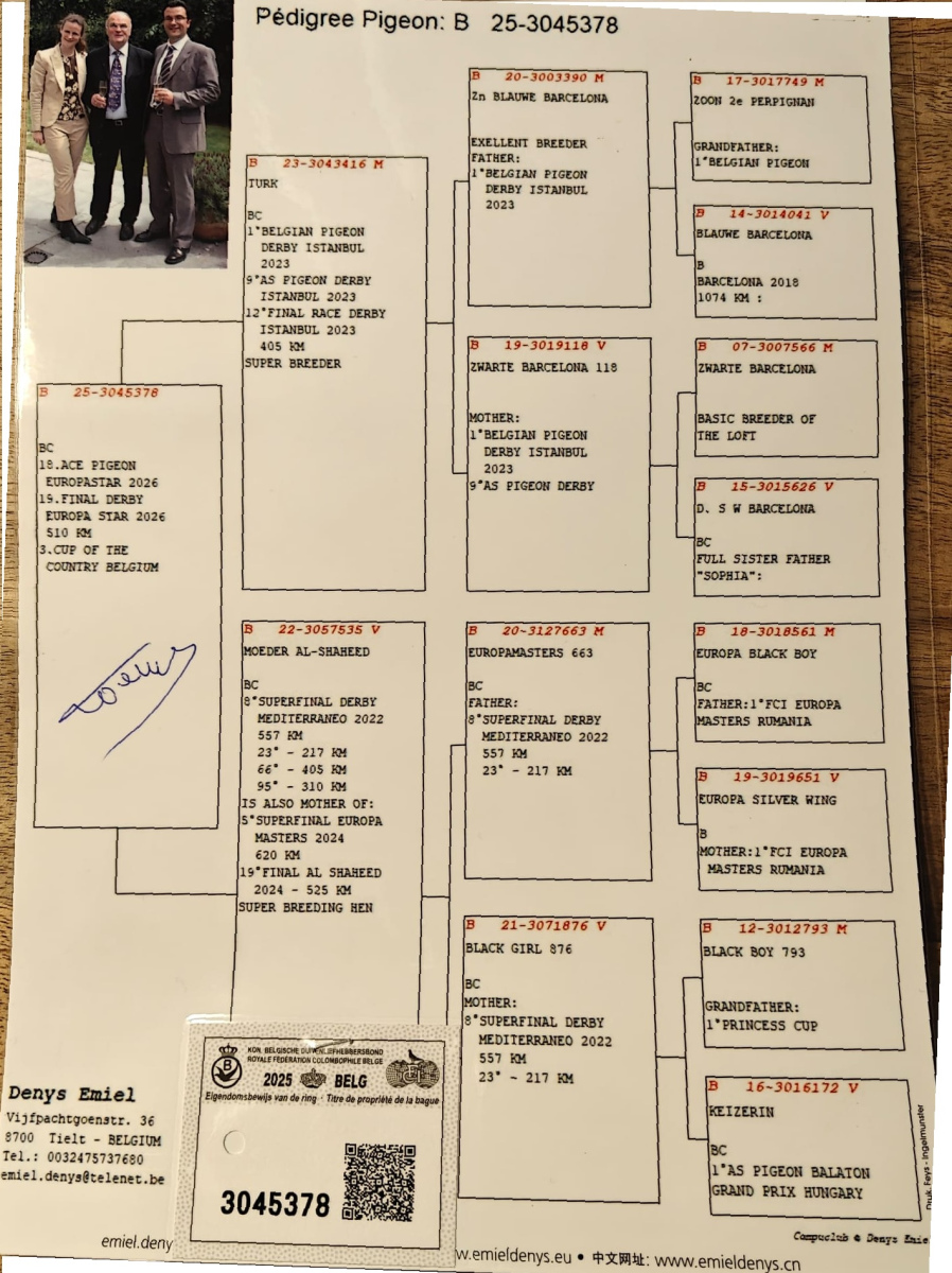 19. Final Race 510km NIMES - FRANCE,
18. Ace Pigeon Overall,
90. Semifinal Race 320km
Derby Europa Star Pigeon Season 2026
	
EMIEL DENYS & DINA SIERENS
 BE 25 3045378
