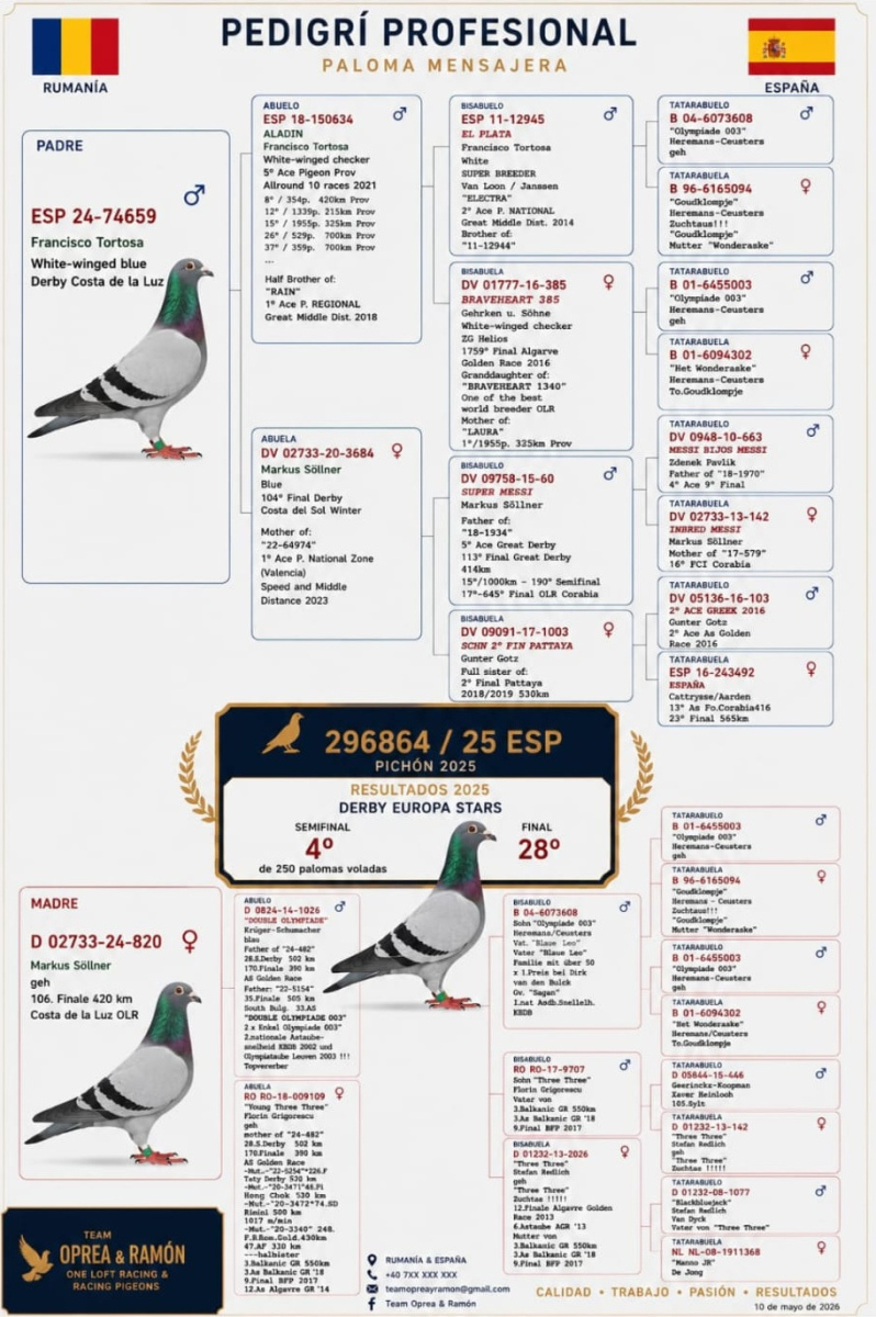 4. Semifinal Race 320km, 28. Final Race 510km NIMES - FRANCE 

Derby Europa Star Pigeon Season 2026

TEAM OPREA RAMON
 ES 25 296864