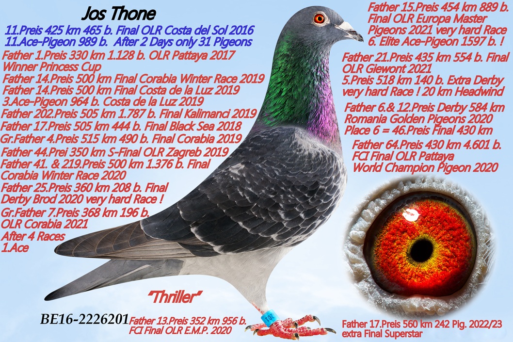KARL - HEINZ WICHERT
 DV 2618 25 401 - Injured/Accidentat la aripa !
  

