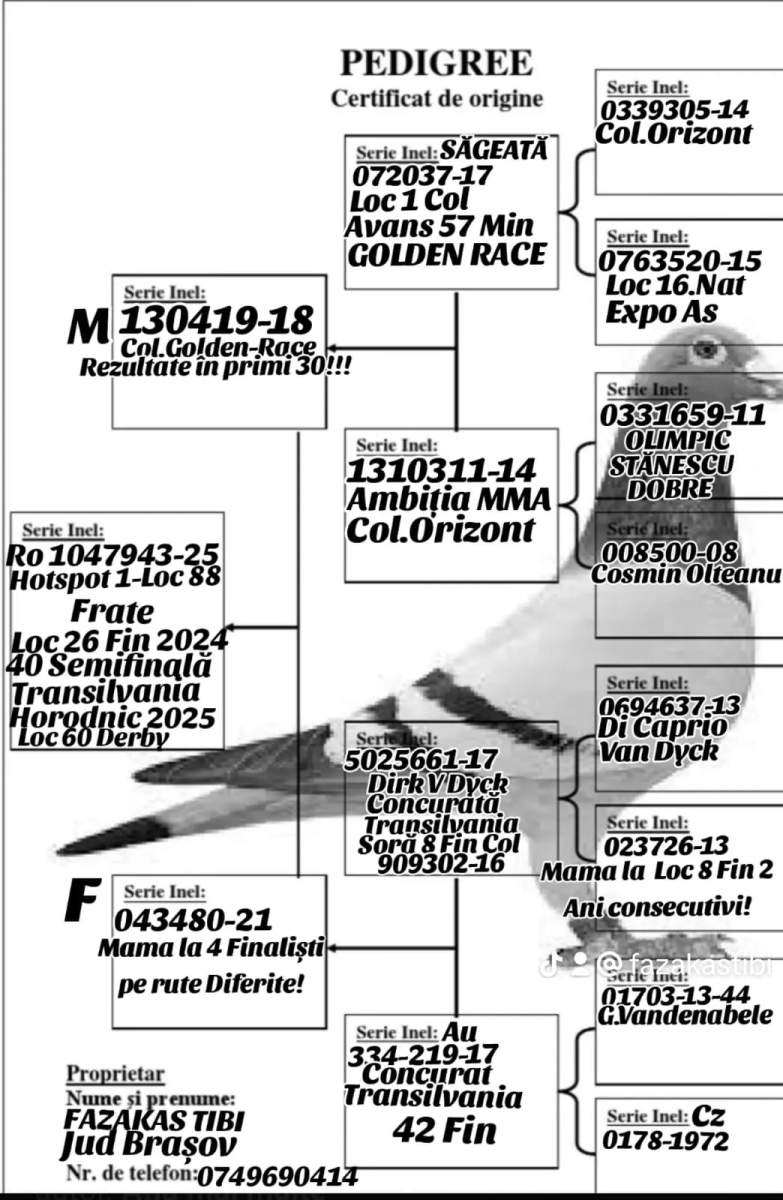 FAZAKAS TIBI
 RO 25 1047943 - Late return from Final Race 515km