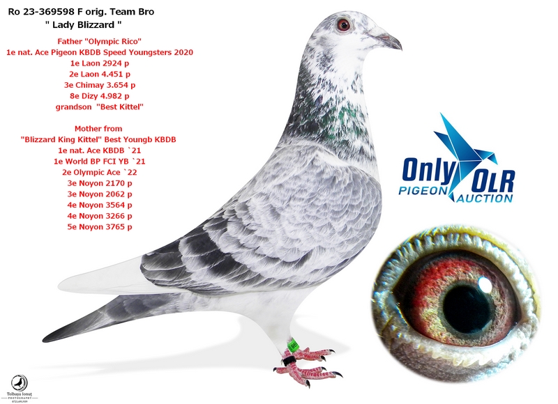 RA-PIGEON LOFT
 RO 25 420898  - Late return from Hot Spot 3
