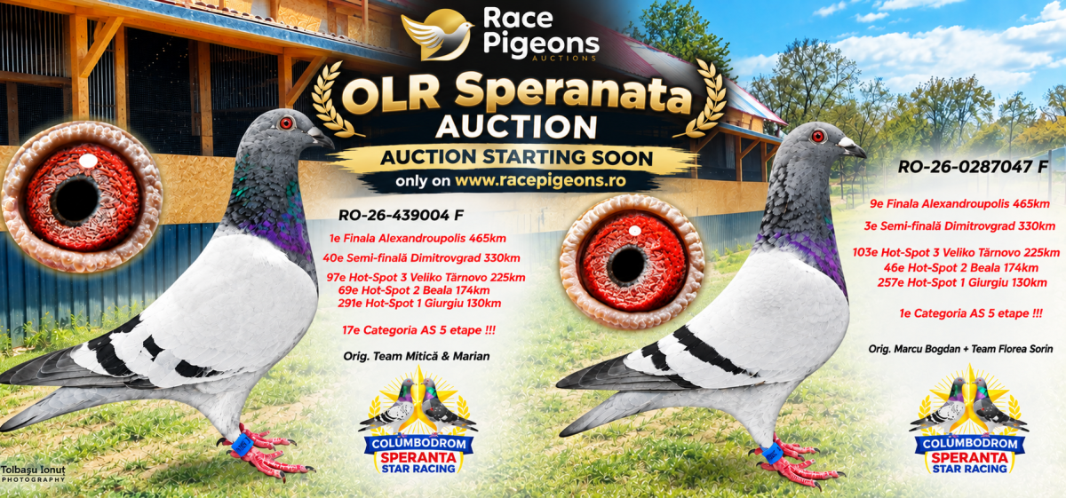 OLR Speranta 2026 - part 1