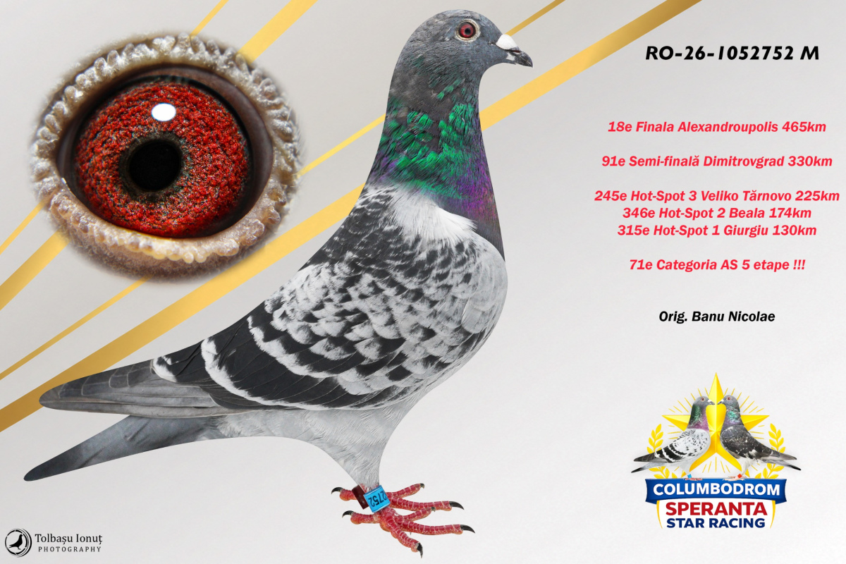  OLR Speranta 2026 - part 2