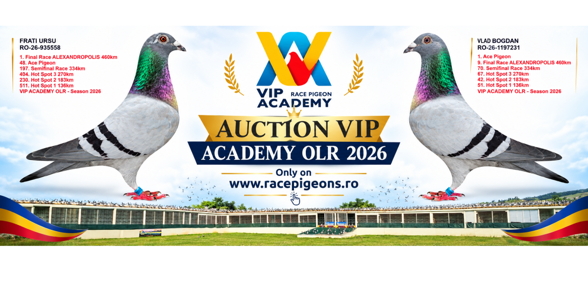 VIP Academy OLR · 2026 - part 1