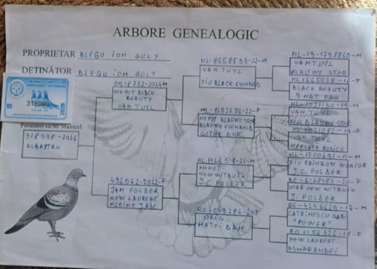 

3. Final Race ALEXANDROPOLIS 460km, 
9. Ace Pigeon VIP ACADEMY OLR · Season 2026 BLEGU ION GULY
 RO-26-318998
