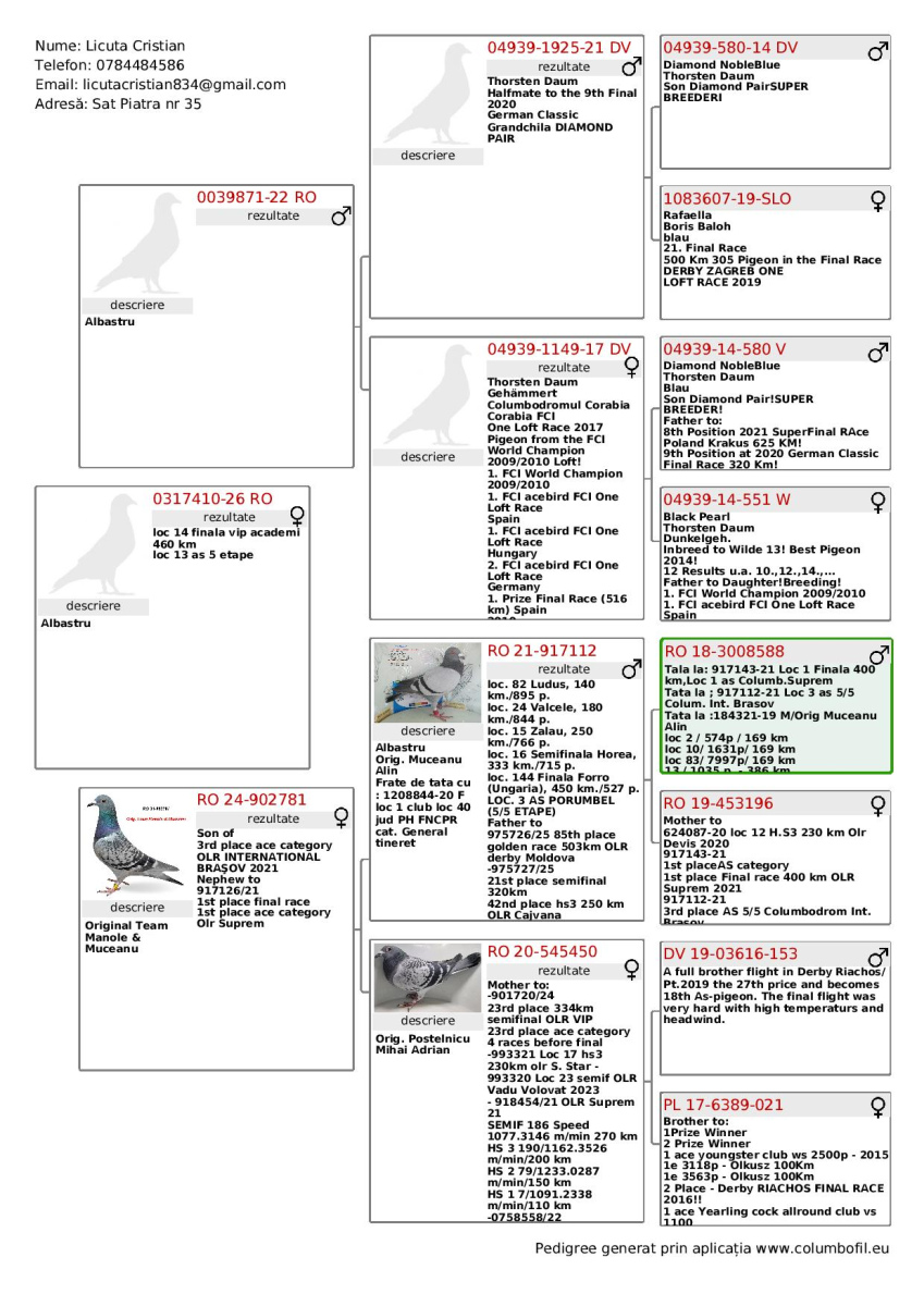 

14. Final Race ALEXANDROPOLIS 460km,
14. Ace Pigeon VIP ACADEMY OLR · Season 2026 LICUTA + COSTACHE
 RO-26-317410
