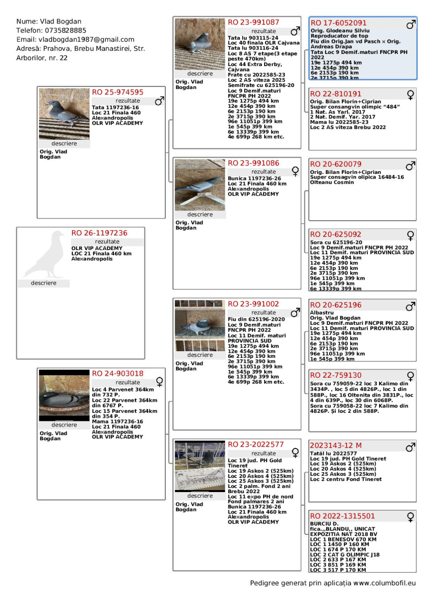 

21. Final Race ALEXANDROPOLIS 460km 
VIP ACADEMY OLR · Season 2026 VLAD BOGDAN
 RO-26-1197236