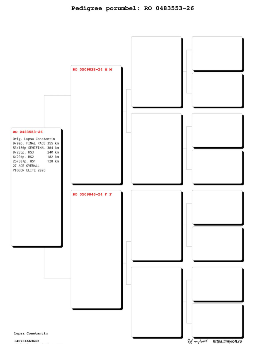 
9. Final Race 355km, 
27. Ace Pigeon,
53. Semifinal Race 304km,
8. Hot Spot 3 240km,
6. Hot Spot 2 182km,
25. Hot Spot 1 128km

Pigeon Elite OLR Lupsa Constantin
 RO-26-483553
