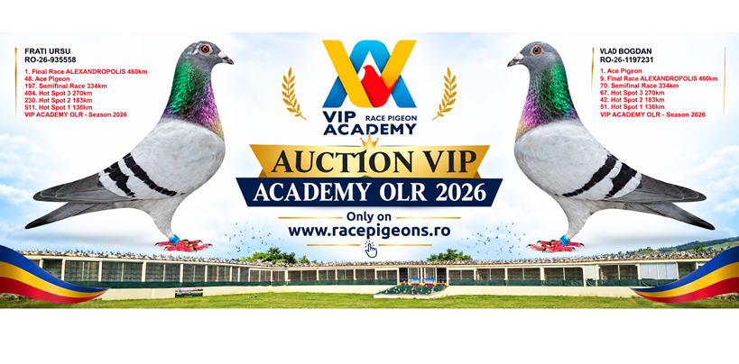 VIP Academy OLR · 2026 - part 2