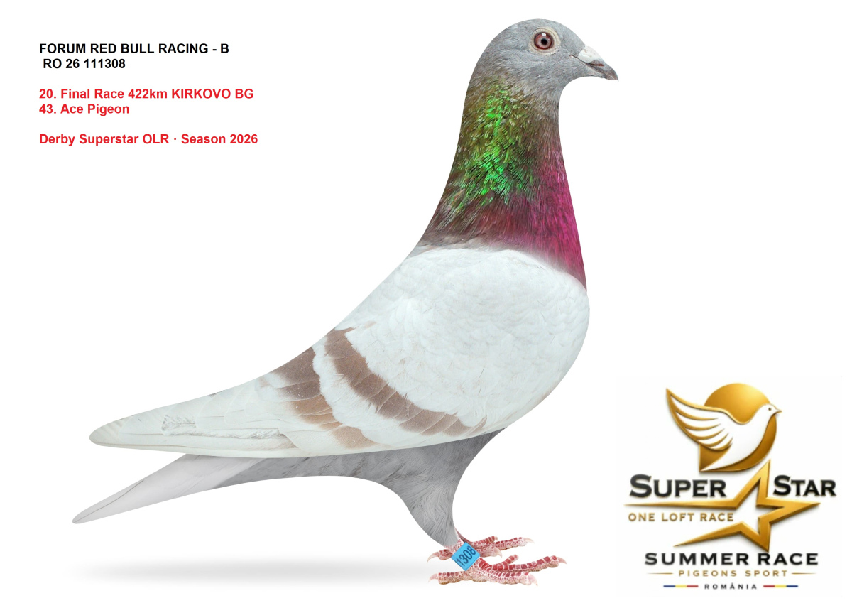  Derby Superstar OLR Summer 2026
