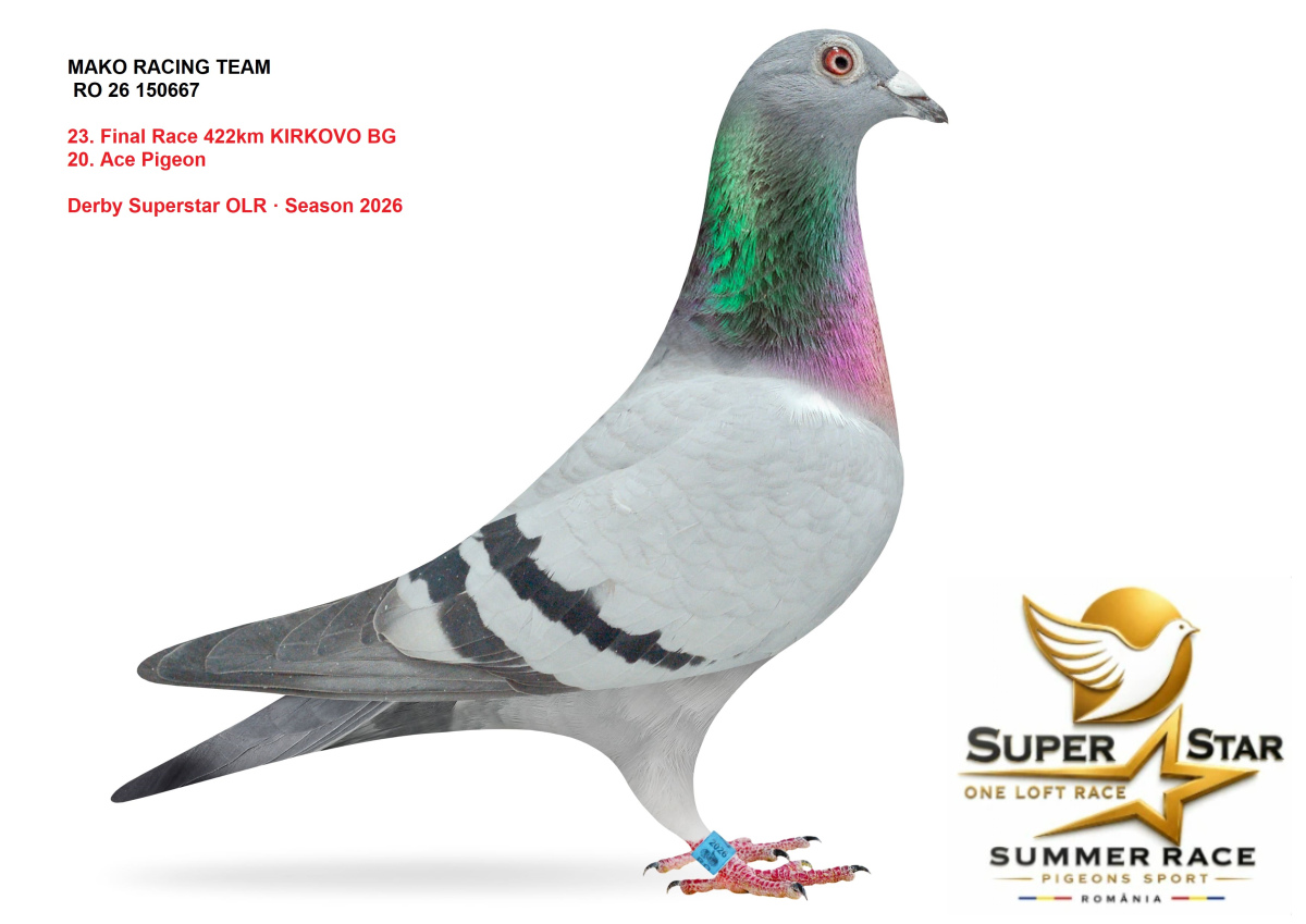  Derby Superstar OLR Summer 2026