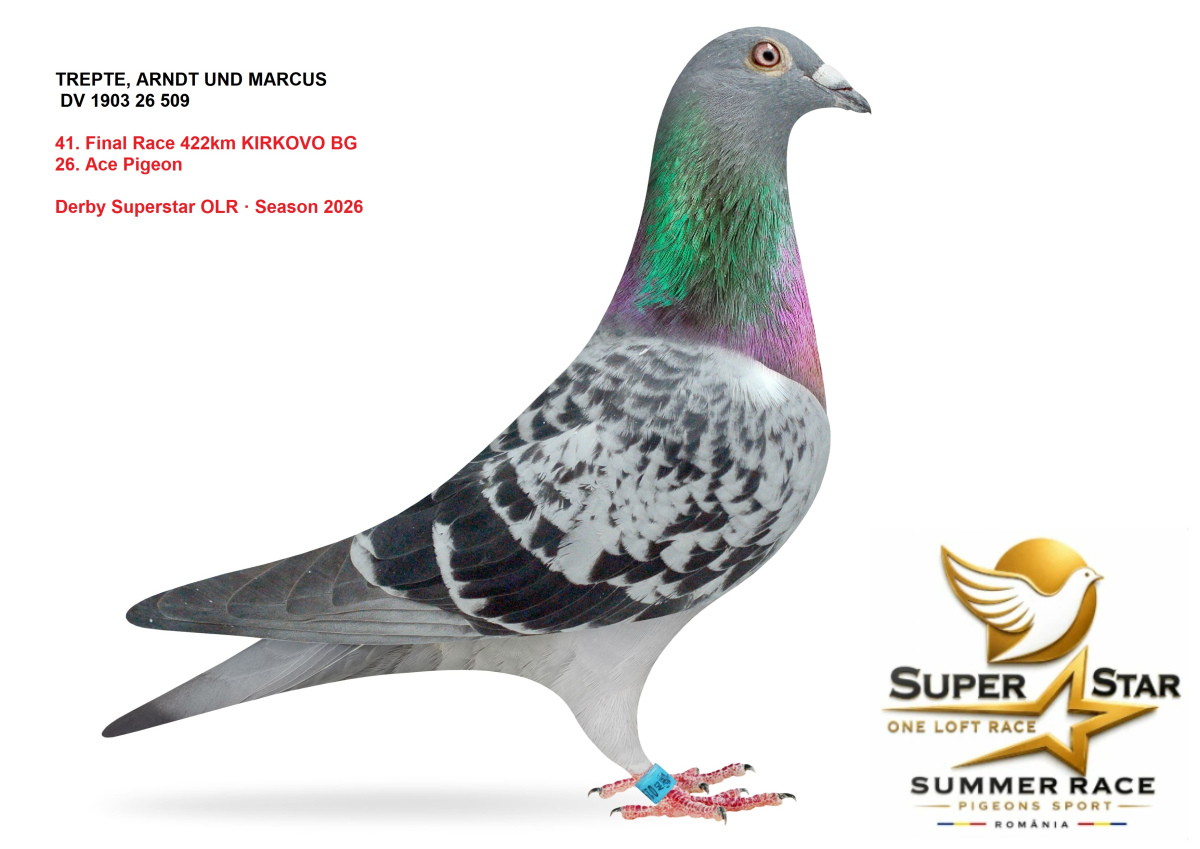Derby Superstar OLR Summer 2026 part 2