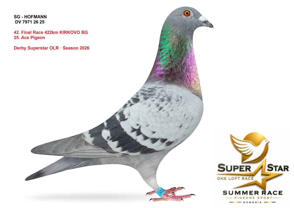 Derby Superstar OLR Summer 2026 part 2