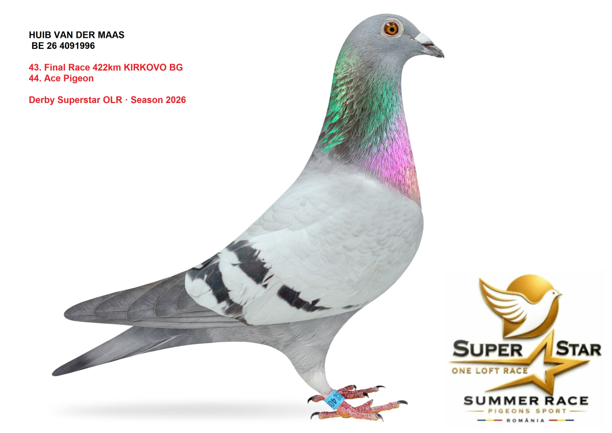 Derby Superstar OLR Summer 2026 part 2