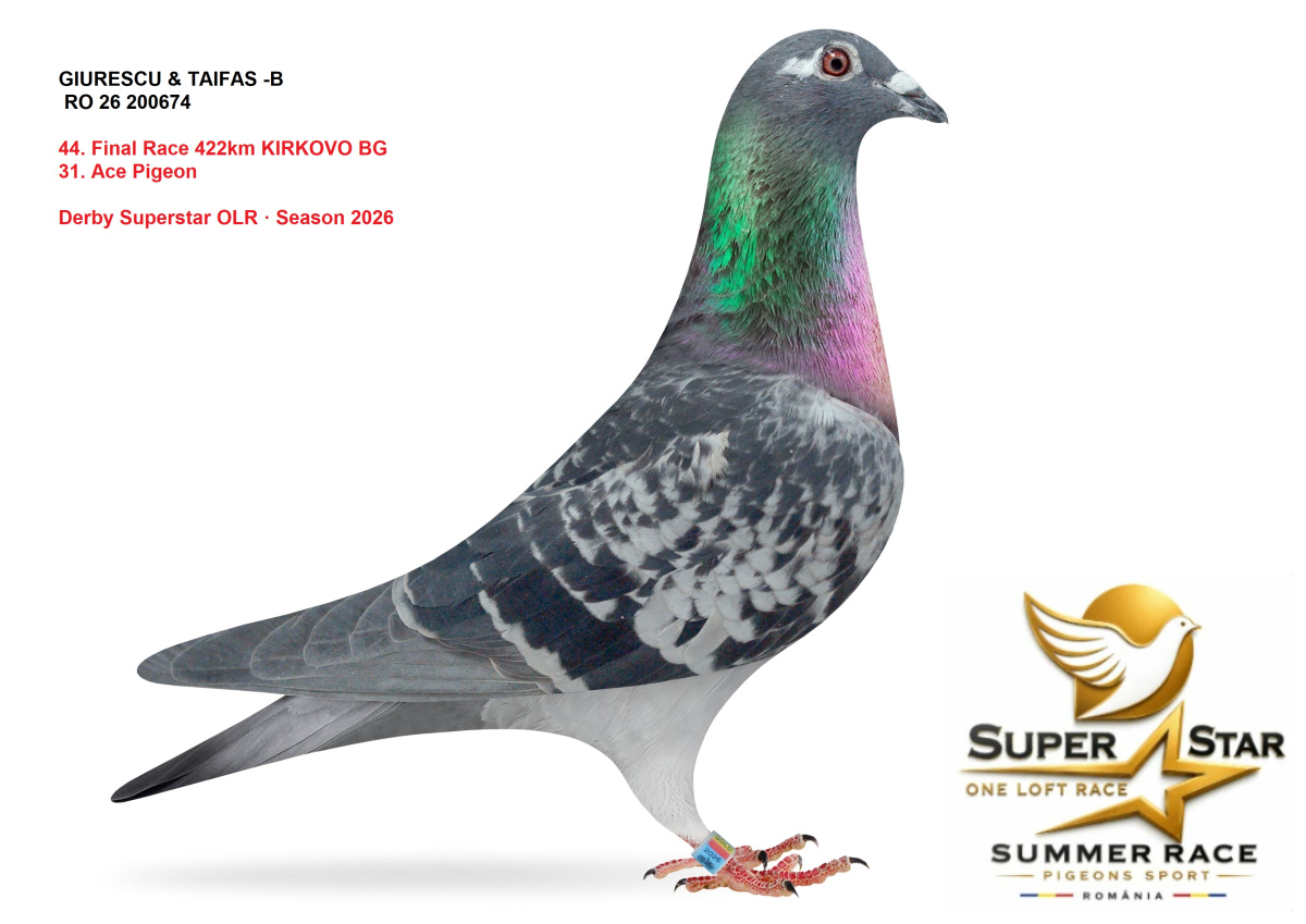 Derby Superstar OLR Summer 2026 part 2