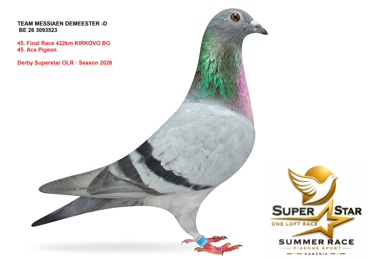 Derby Superstar OLR Summer 2026 part 2