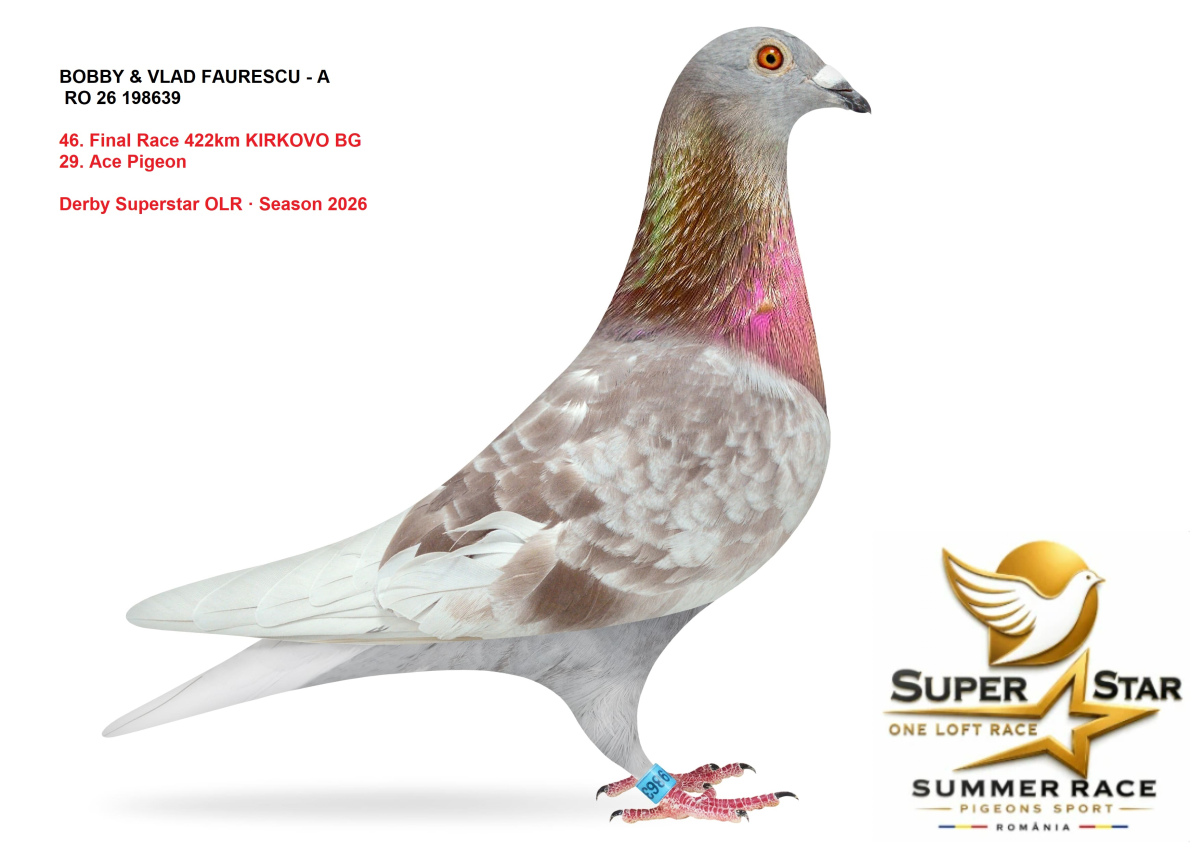 Derby Superstar OLR Summer 2026 part 2
