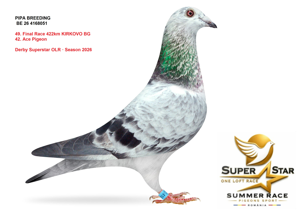 Derby Superstar OLR Summer 2026 part 2