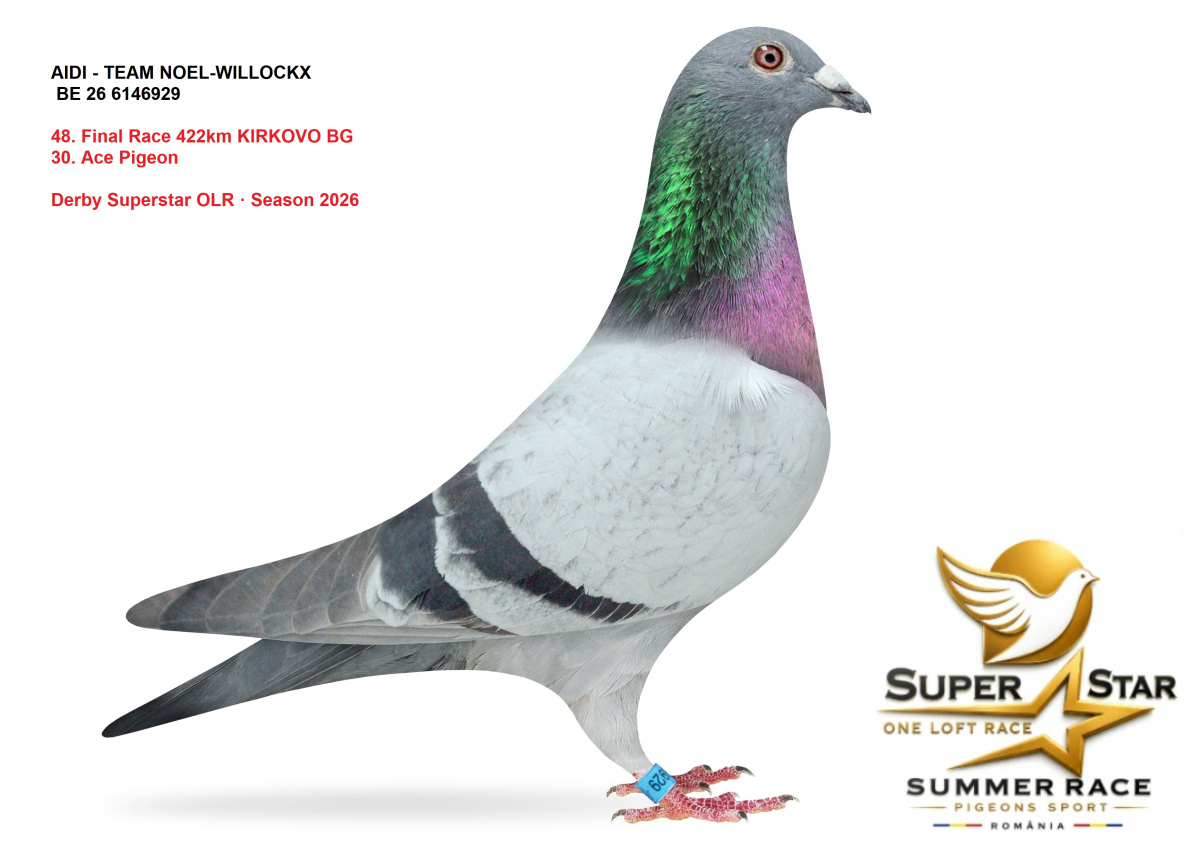 Derby Superstar OLR Summer 2026 part 2