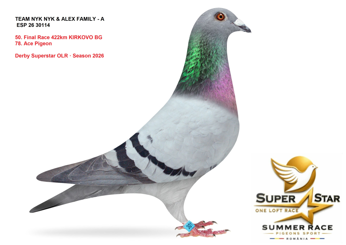 Derby Superstar OLR Summer 2026 part 2