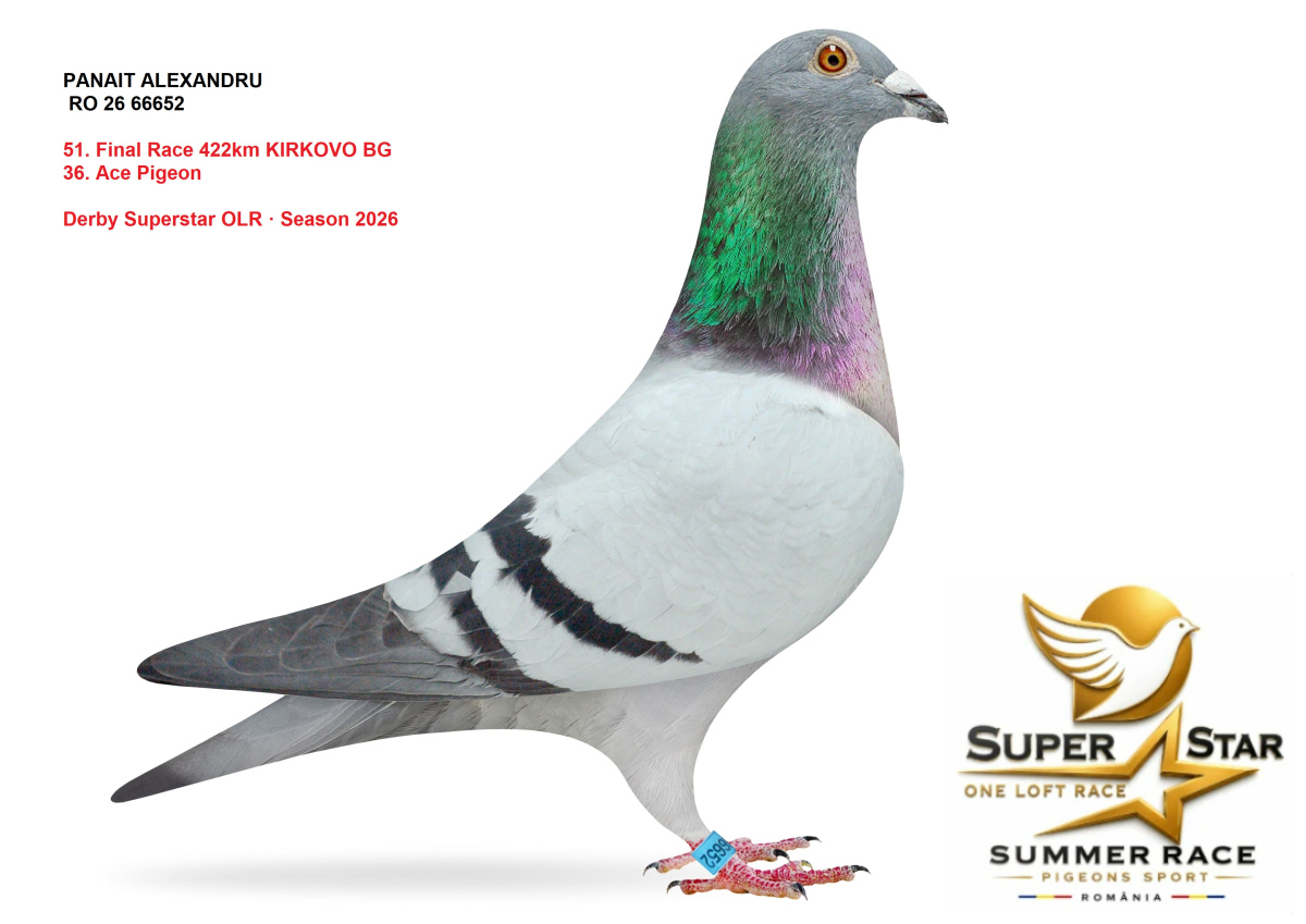 Derby Superstar OLR Summer 2026 part 2