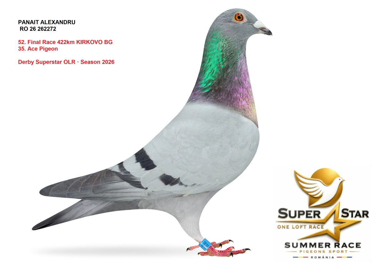Derby Superstar OLR Summer 2026 part 2