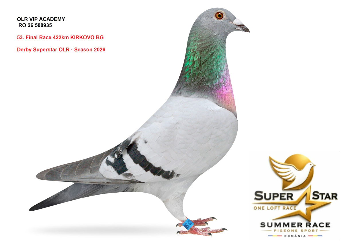 Derby Superstar OLR Summer 2026 part 2