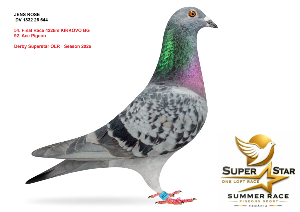 Derby Superstar OLR Summer 2026 part 2