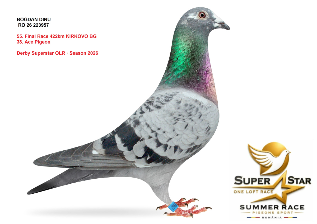 Derby Superstar OLR Summer 2026 part 2