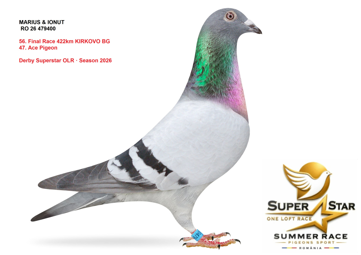 Derby Superstar OLR Summer 2026 part 2