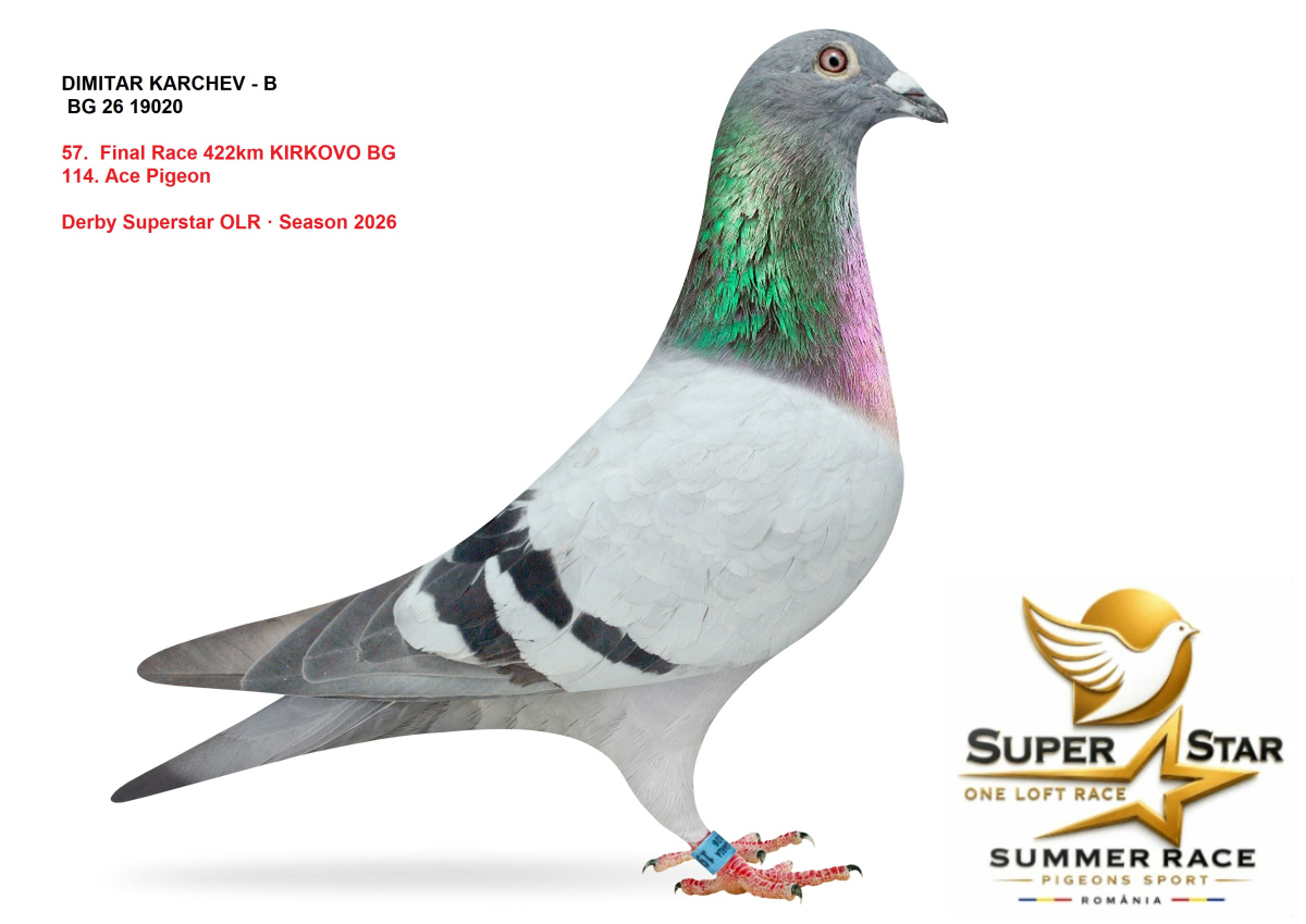 Derby Superstar OLR Summer 2026 part 2
