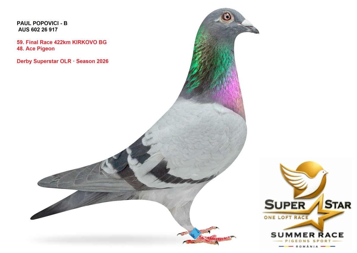 Derby Superstar OLR Summer 2026 part 2