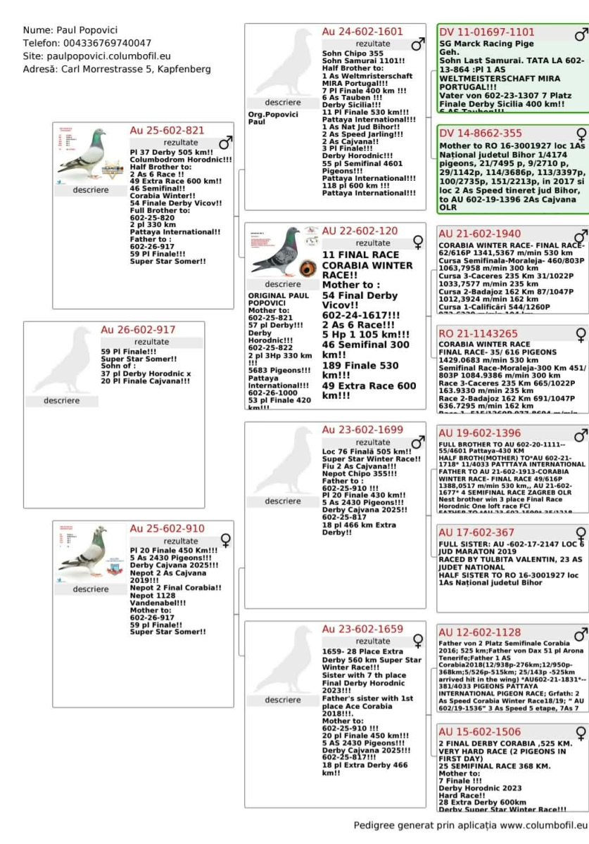 

59. Final Race 422km KIRKOVO BG
48. Ace Pigeon

Derby Superstar OLR · Season 2026 - PAUL POPOVICI - B
 AUS 602 26 917 