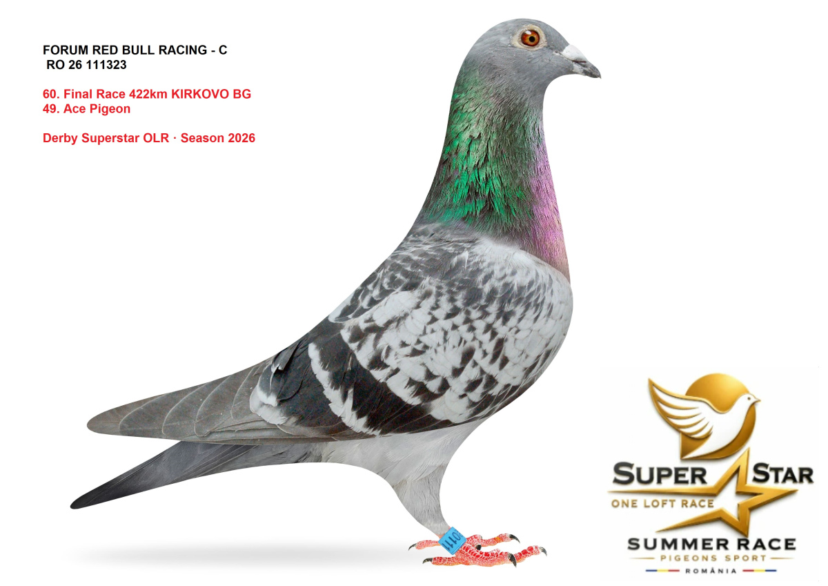 Derby Superstar OLR Summer 2026 part 2