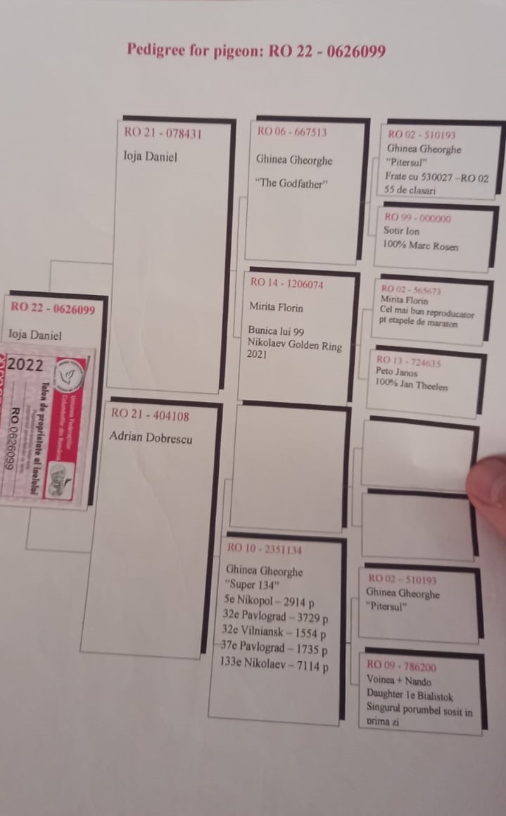 

4. Extra Derby NEA MUDANIA 540km,
7. Ace Pigeon 6 races VIP ACADEMY OLR · Season 2026 - MARIUS + BOGDAN
 RO-26-648206